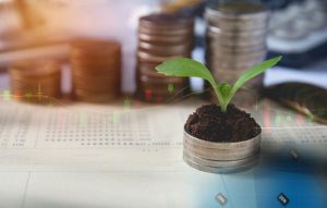 בזן מוכיחה חדשנות ירוקה היא המפתח להצלחה בבורסה